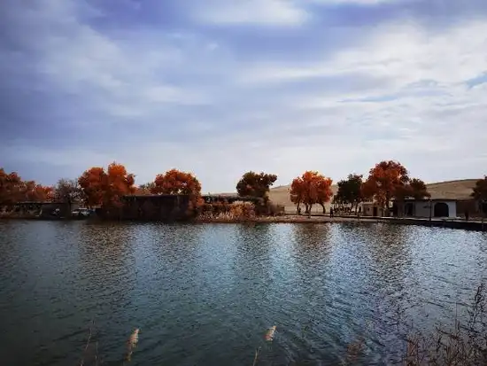 游罗布人村寨第四天