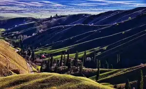 雨中自驾游伊犁河