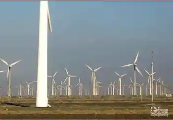 新疆旅游去沙漠看胡杨,图二十八