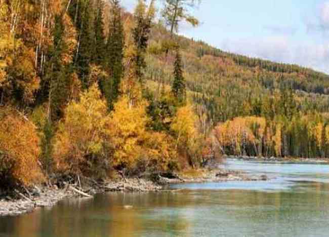 最想回忆的喀纳斯-红叶飘飞的日子,图七