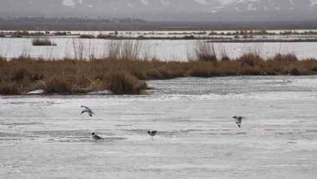 新疆自驾之旅四,图