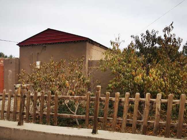 巴楚紅海胡楊林景區(qū)