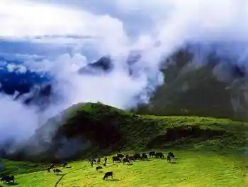 喀纳斯之神仙湾,图十四