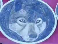 新疆南疆六日游续