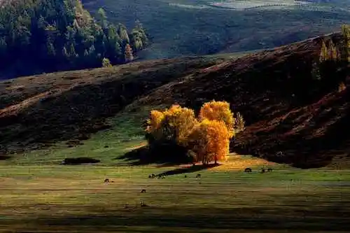 北疆之行--人间的天堂