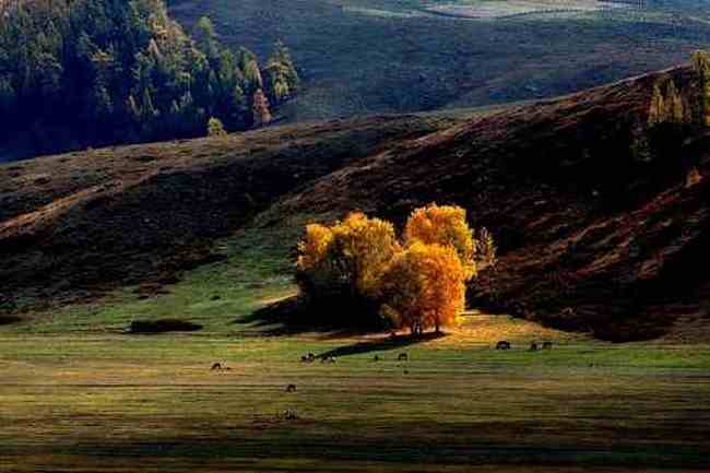 北疆之行--人间的天堂,图六