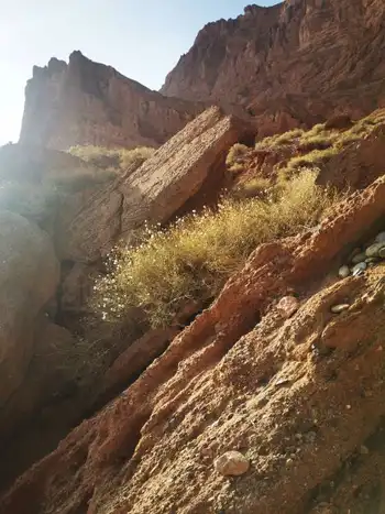 南疆大环游 库尔勒到库车