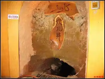 入地探井风景独好坎儿井与风车,图五