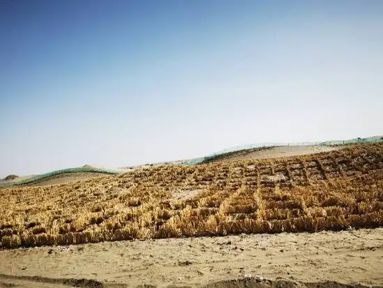 南疆大环游 和田到阿拉尔