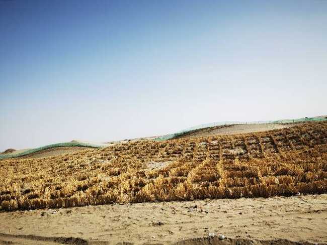 南疆大环游 和田到阿拉尔