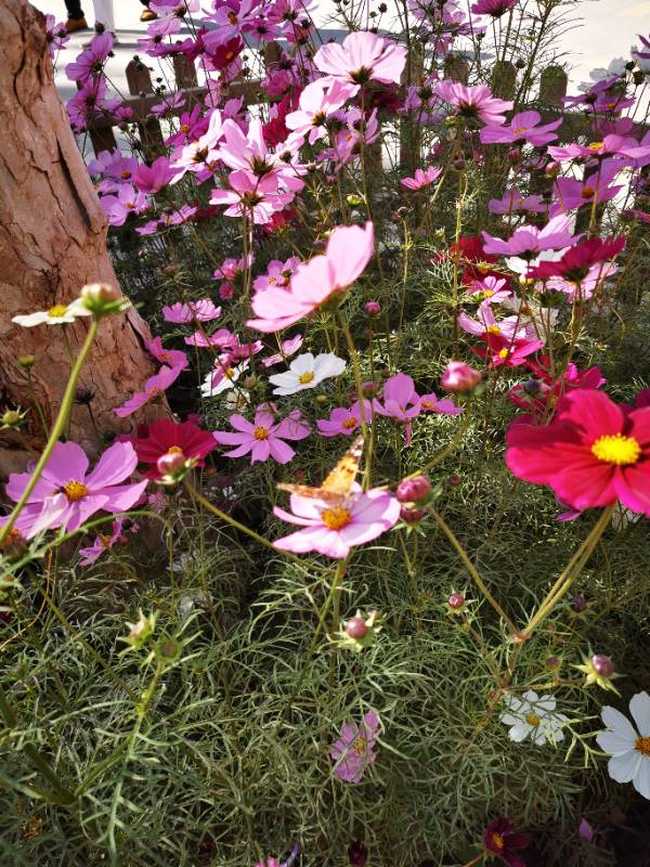 南疆大环游 喀什一日游