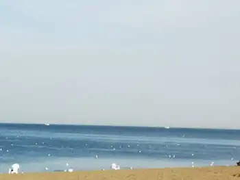 新疆博斯腾湖大河口景点