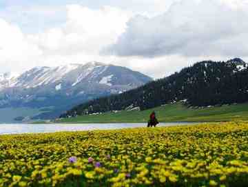 天堂很远而赛里木湖很近,图十一