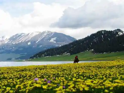 天堂很远而赛里木湖很近