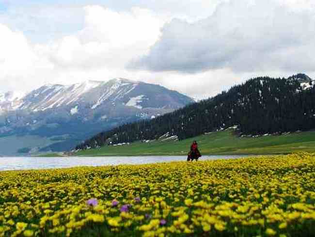 天堂很远而赛里木湖很近,图十一