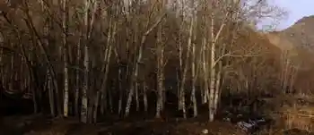 新疆自驾之旅四,图