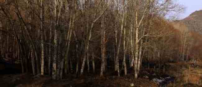 新疆自驾之旅四,图