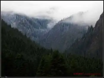 天然牧场南山风景区西柏杨沟,图三