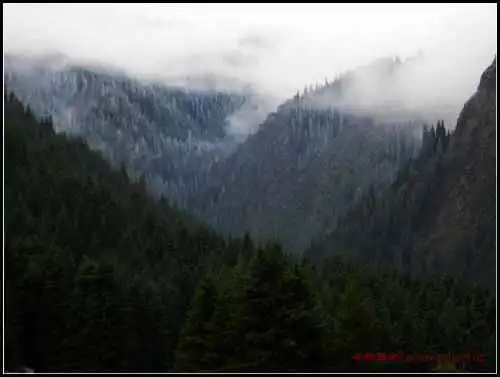 天然牧场南山风景区西柏杨沟
