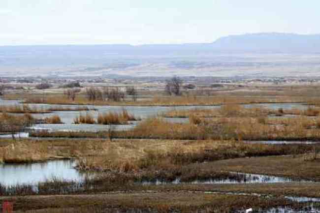 新疆自驾之旅五,图