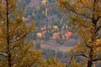带你进入多彩的喀纳斯,图十五