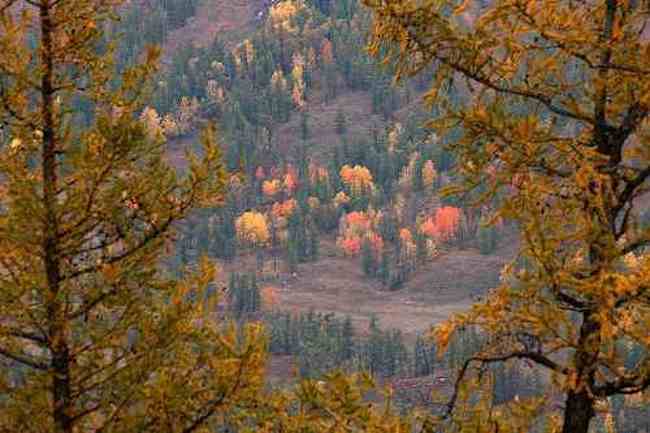 帶你進(jìn)入多彩的喀納斯,圖十五