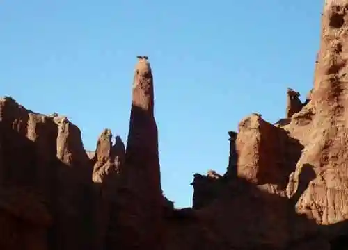 无边南疆大漠游