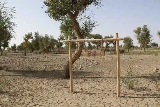 新疆南疆六日游续（二）