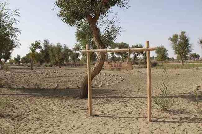 新疆南疆六日游续（二）,图八