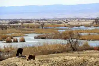 新疆自驾之旅五,图