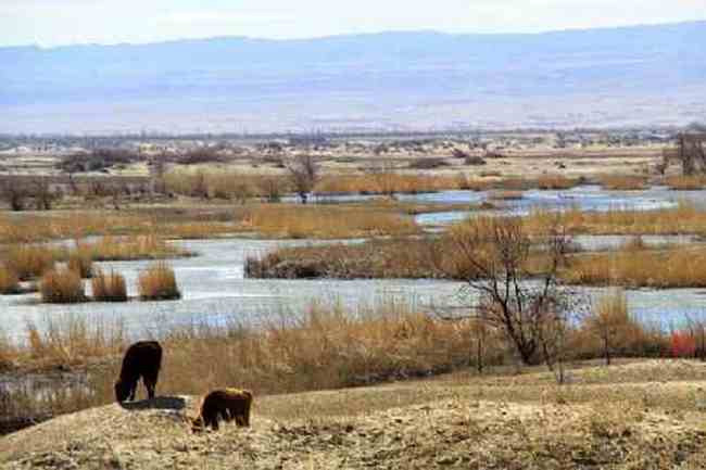 新疆自驾之旅五,图