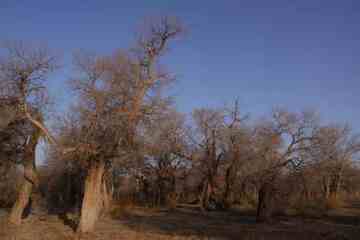 新疆自驾之旅1,图二