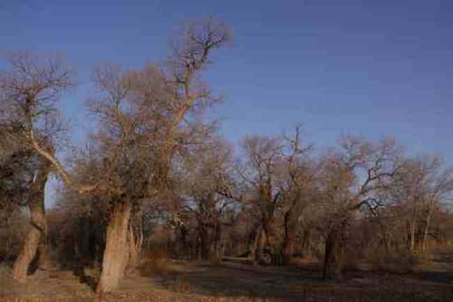 新疆自驾之旅1,图二