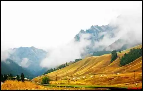天然牧场南山风景区西柏杨沟