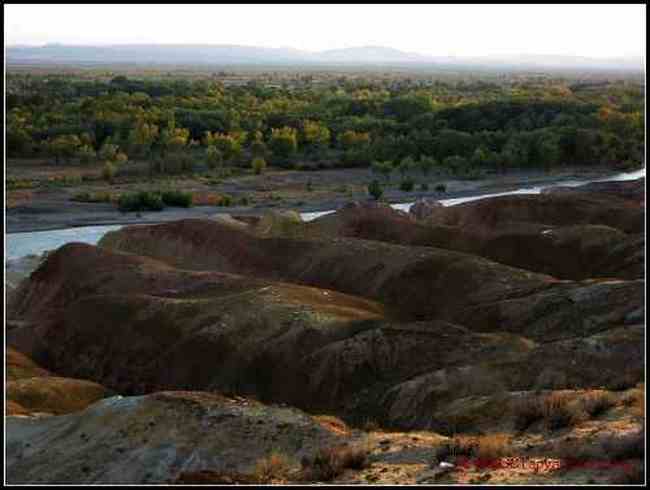 狂风劲刮斑斓河滩五彩滩,图六