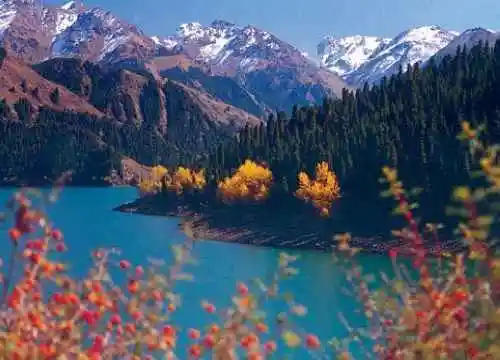 美丽新疆行之天山天池