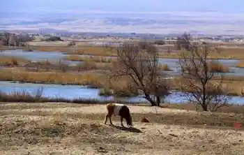 新疆自驾之旅五,图