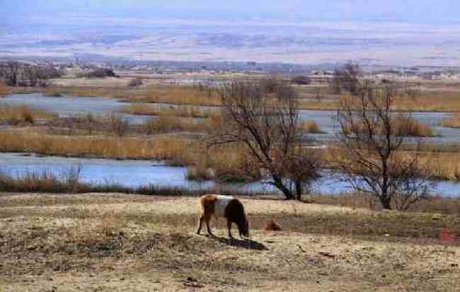 新疆自驾之旅五,图