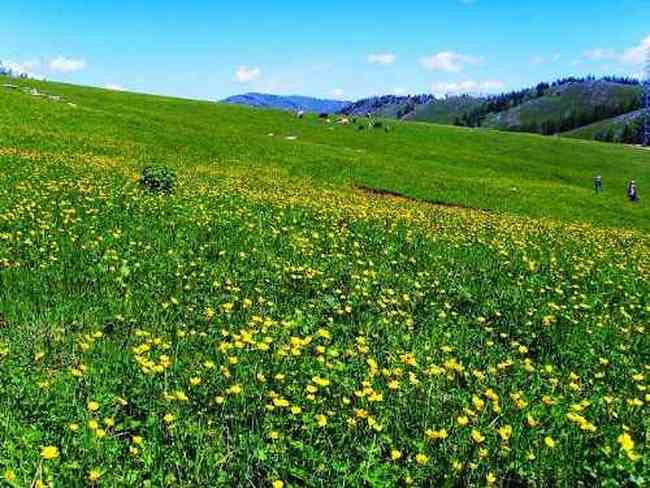 喀纳斯,遗落在人间的仙境,图二