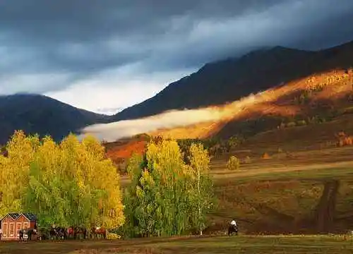 最想回忆的喀纳斯－红叶飘飞的日子
