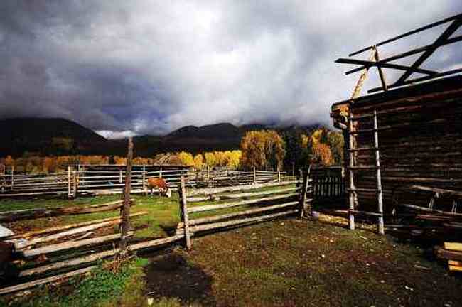 北疆仙境云雾禾木,图二十一