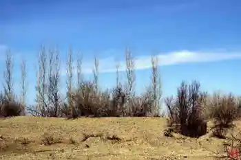 新疆自驾之旅五,图