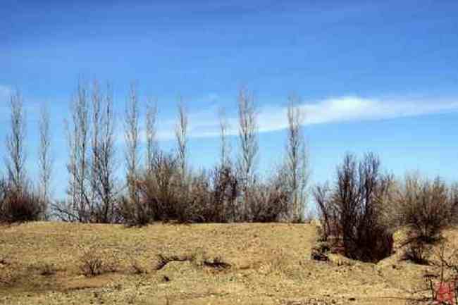 新疆自驾之旅五,图