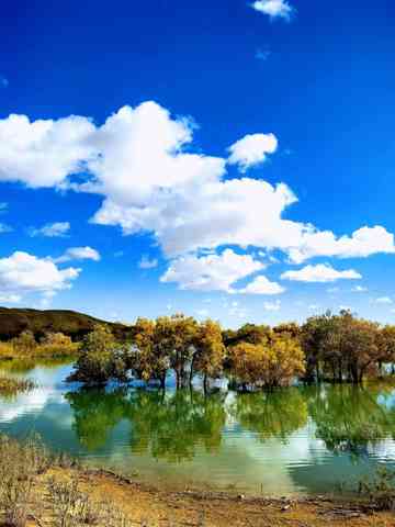 新疆尉犁县葫芦岛,图六