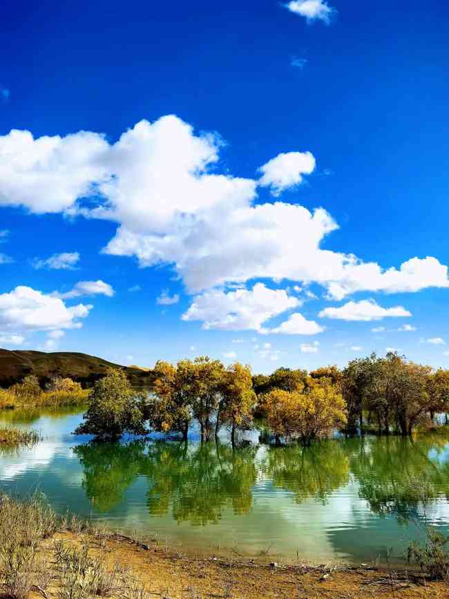 新疆尉犁县葫芦岛,图六