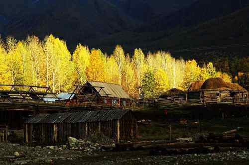 白哈巴西边的太阳落山岗,图十