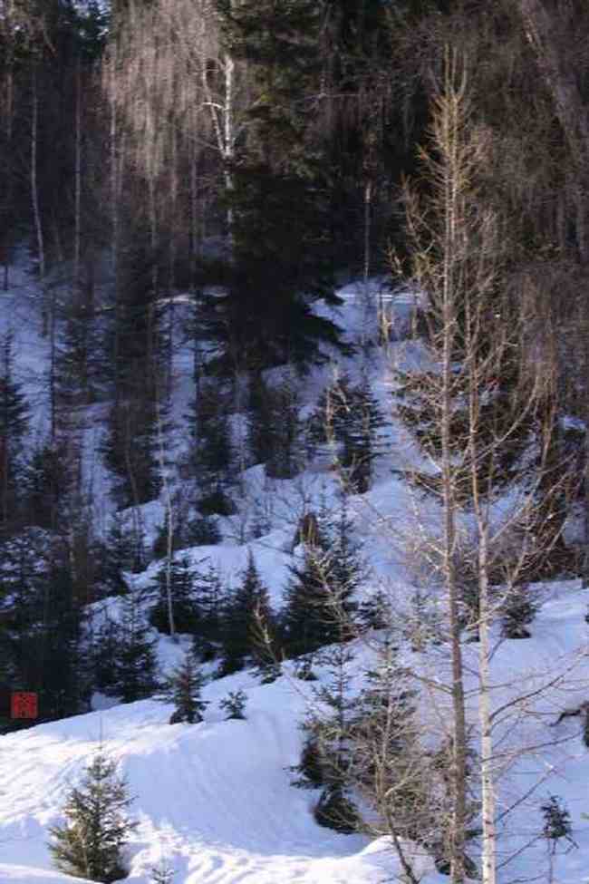 新疆自驾之旅五,图二十九