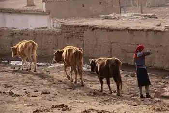 新疆自驾之旅四,图