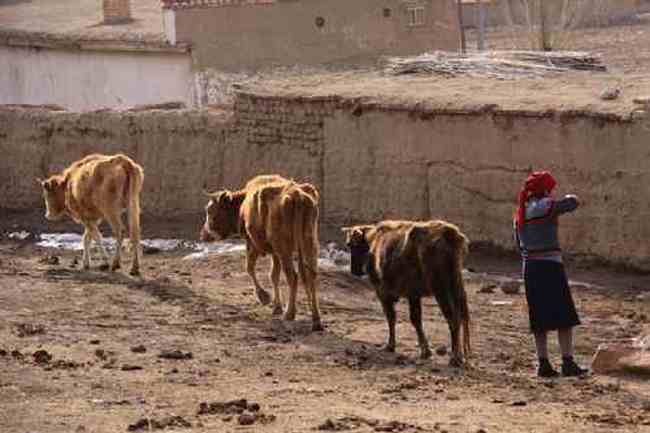 新疆自驾之旅四,图