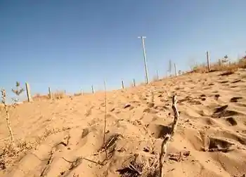 塔克拉玛干沙漠之行,图十一